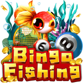 b123b bắn cá Bingo